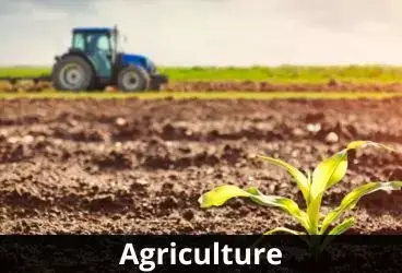 our markets - agriculture